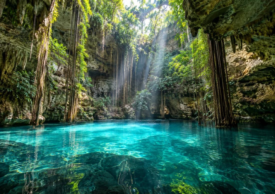 Agua turquesa y vegetación en un cenote. Imagen ilustrativa.