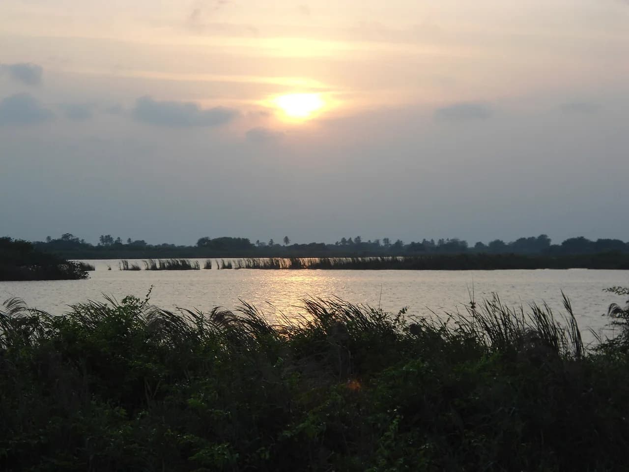 Pantanos de Centla